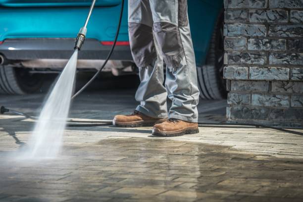 Best Pool Deck Cleaning  in Louisa, KY