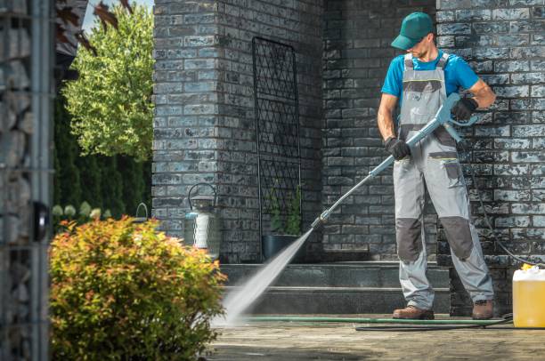 Best Graffiti Removal  in Louisa, KY