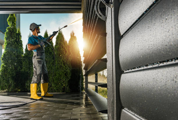 Best Dumpster Area Cleaning  in Louisa, KY