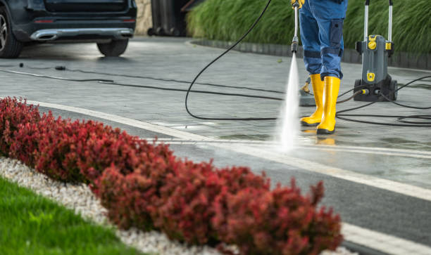 Best Building Exterior Washing  in Louisa, KY